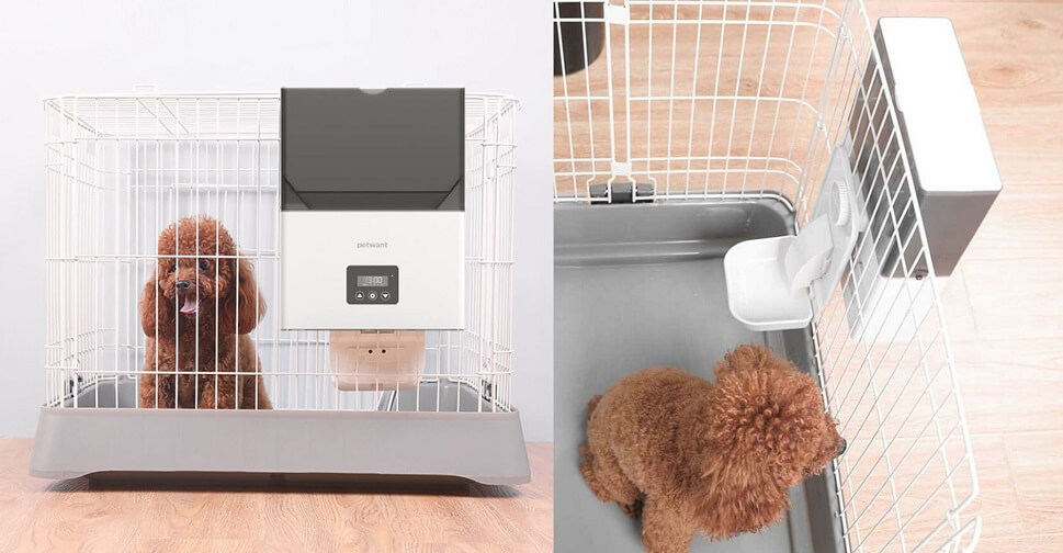 забота о любимцах без лишних хлопот